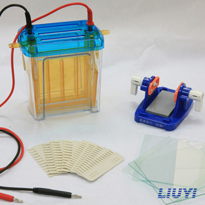 北京六一DYCZ-24EN雙垂直電泳儀(中號)蛋白電泳儀